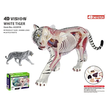4DVision White Tiger Anatomija Model Živalske Lobanje Okostje Anatomski Model, Snemljiv DIY Model Otroci Znanost Izobraževalne Igrače