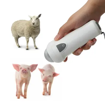 brezžične sonde wifi prašičev svinja ovce brezžično uporabo v Veterinarski Ultrazvok prašičev, ovc s3 brezžični ecografo