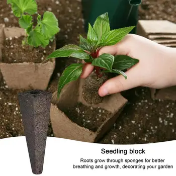 Rastejo Gobe Root Raste Plug Goba Hydroponic Dodatek Sadika Vrt Pot Sajenje Rož Paprike Koriandrom Bazilika, Paradižnik